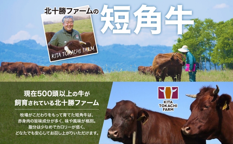 北海道 北十勝 短角牛 サーロイン 焼きしゃぶ用 300g×2 計600g 肉 焼きしゃぶ 焼肉 赤身 赤身肉 和牛 牛肉 国産 ご飯 贅沢 肉厚 冷凍 ギフト 北十勝ファーム 送料無料