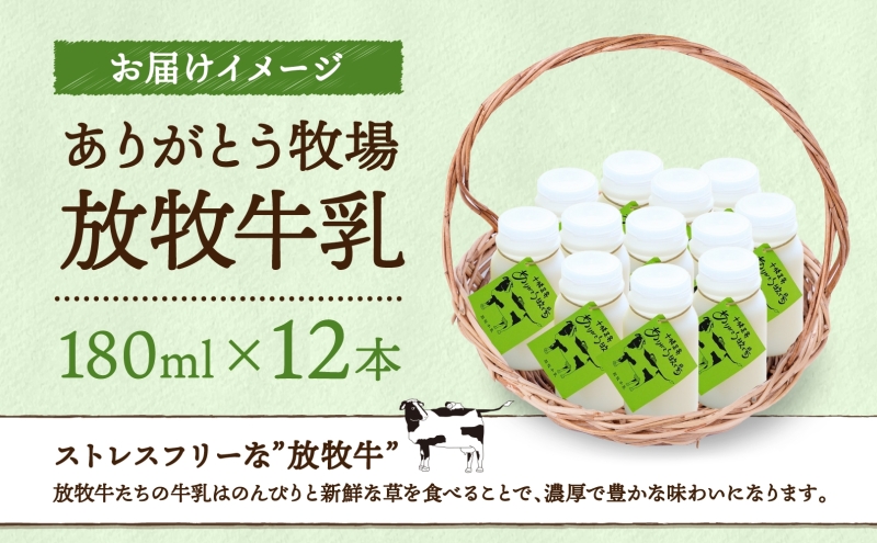 北海道 放牧牛乳 180ml×12本 牛乳 生乳 ミルク 濃厚 さっぱり まろやか 酪農 放牧 国産 無農薬 化学肥料不使用 道産飲料100% 健康 朝食 冷蔵 ありがとう牧場 送料無料