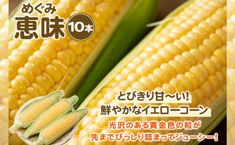 北海道 とうもろこし＆じゃがいも とうきび コーン 恵味 馬鈴薯 北あかり アンデスレッド さやあかね メークイン 旬 農作物 十勝 足寄ひだまりファーム 送料無料  