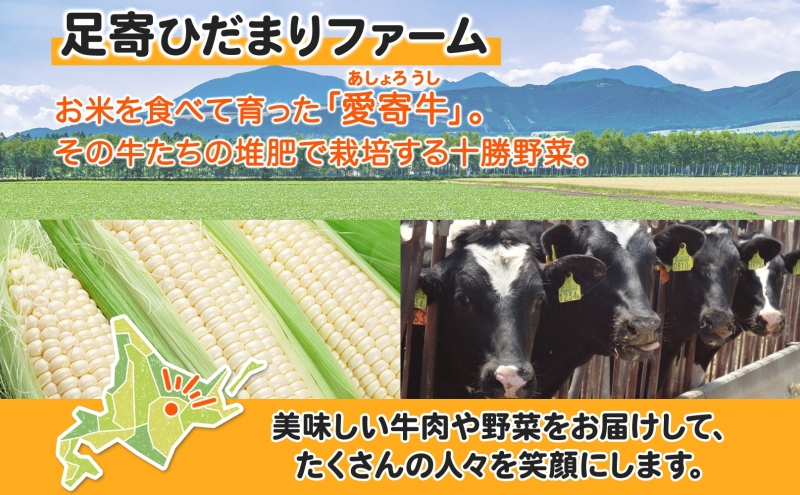 北海道 とうもろこし＆じゃがいも とうきび コーン 恵味 馬鈴薯 北あかり アンデスレッド さやあかね メークイン 旬 農作物 十勝 足寄ひだまりファーム 送料無料  