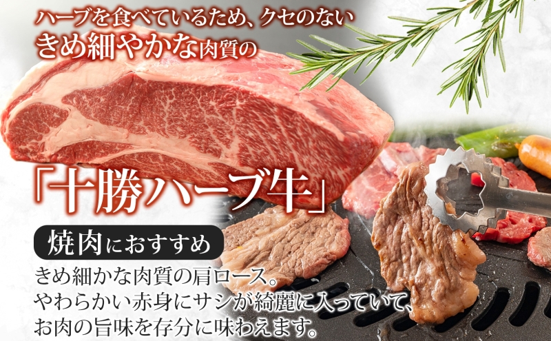 無地熨斗 北海道 十勝ハーブ牛 カタロース 焼肉 400g 国産 国産牛 ハーブ牛 牛肉 牛 ビーフ ブランド牛 お肉 肩ロース ロース ロース肉 焼き肉 BBQ カット パーティー お祝い 肉料理 冷凍 ギフト 贈答 熨斗 のし 名入れ不可 送料無料 足寄 十勝 within2024 年内お届け可能