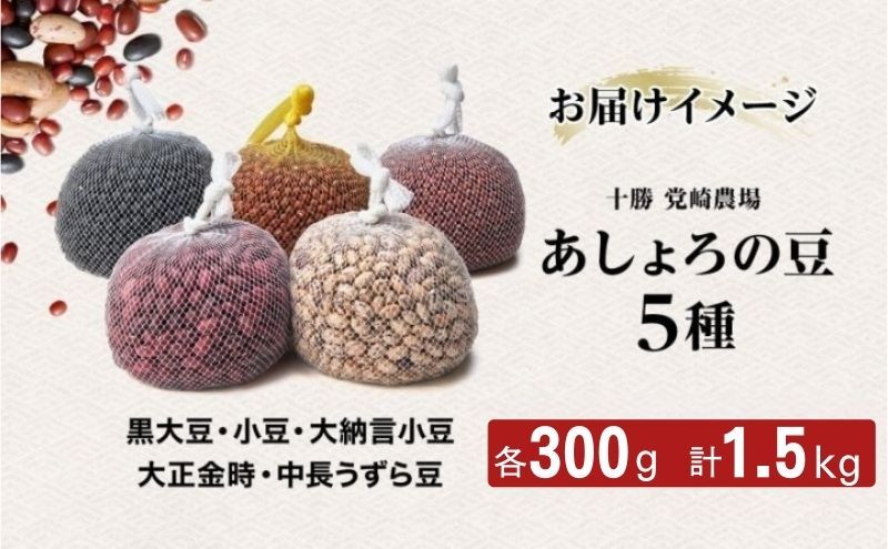 北海道 令和6年産 あしょろの豆 5種 300g×各1袋 計1.5kg 小豆 黒大豆 大納言小豆 大正金時 中長うずら豆 豆 十勝 和菓子 和食 詰め合わせ 常温 お取り寄せ 党崎農場 送料無料