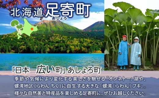 北海道 令和6年産 あしょろの豆 5種 300g×各1袋 計1.5kg 小豆 黒大豆 大納言小豆 大正金時 中長うずら豆 豆 十勝 和菓子 和食 詰め合わせ 常温 お取り寄せ 党崎農場 送料無料