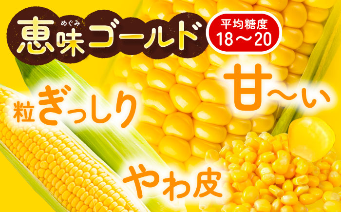 【先行予約】北海道 朝もぎ とうもろこし 10本（恵味ゴールド）【8月上旬以降発送】《足寄町》【党崎農場】トウモロコシ とうもろこし 甘い 野菜 採れたて野菜 新鮮 農家 おすすめ 北海道土産 ゴールド gold レンチン 北海道産 あしょろ 北海道 [BEAA003]
