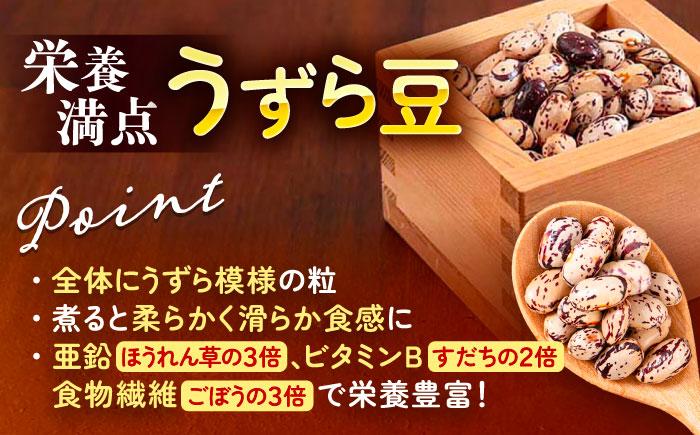 北海道 あしょろの中長うずら豆 1kg×2袋《足寄町》【党崎農場】中長鶉 中長うずら豆 うずら豆 インゲン豆 北海道産 [BEAA022]
