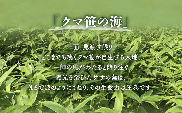 熊笹餃子 雫包(しずづつみ) 10個≪足寄町≫【株式会社北のささ】中華 ぎょうざ ギョーザ 冷凍餃子 焼餃子 おかず おつまみ 惣菜 天心 お取り寄せ 肉汁 国産 ギフト 冷凍食品 クマザサエキス配合 ささ塩配合 あしょろ 北海道 [BEAR013]
