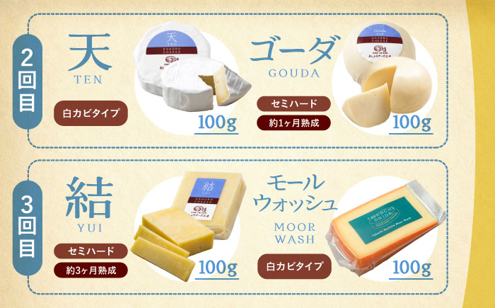 【全3回定期便】 北海道チーズ 7種 《足寄町》【合同会社あしょろチーズ工房】 定期便 北海道産 北海道チーズ 十勝チーズ 食べ比べ チーズ 熟成チーズ チーズセット ハードタイプ セミハード モッツァレラ ラクレット ウォッシュチーズ まろやか ワイン パン 冷蔵 お取り寄せ 十勝 北海道 [BEAU011]