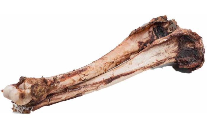 北海道 ペットのおやつ エゾシカ（骨）9種《足寄町》【K&D株式会社】北海道産 エゾ鹿 鹿 シカ肉 鹿肉 ドライ ジャーキー ホネ 骨 口内ケア ペットフード ペット用 餌 エサ ドックフード 犬のおやつ 十勝 あしょろ [BEBC002]