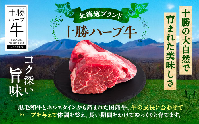 北海道 十勝 ハーブ牛 ヒレ ブロック 約 1kg 《足寄町》【株式会社ノベルズ食品】 [BEAQ065]