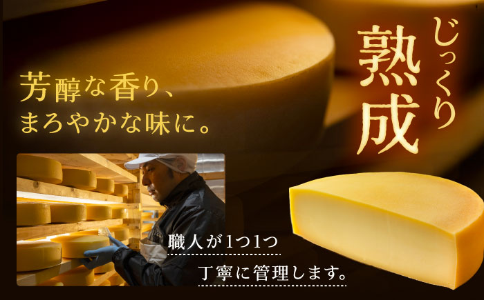 北海道 熟成チーズ 5種詰め合わせ《足寄町》【合同会社あしょろチーズ工房】 北海道産 十勝チーズ 食べくらべ 食べ比べ チーズ ハードタイプ セミハード ラクレット 白カビタイプ 熟成モッツァレラ 冷蔵 十勝 あしょろ [BEAU003]