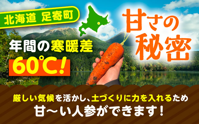 【訳あり】 北海道 にんじん 5kg （土付き）《足寄町》【えとりファーム】 [BEBA005]