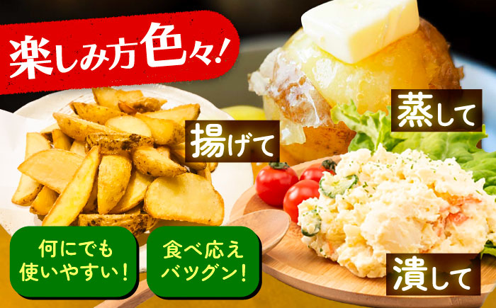 【先行予約】北海道産 じゃがいも 2種食べ比べセット 各5kg（男爵＆キタアカリ）《足寄町》【党崎農場】ジャガイモ じゃがいも 食べ比べ 国産 野菜 ポテト 芋 イモ いも 男爵 キタアカリ きたあかり あしょろ 北海道 [BEAA005]