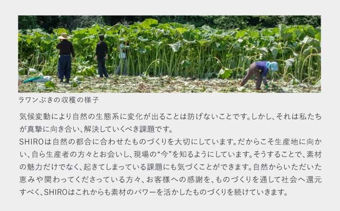 【SHIRO】ラワンぶきスキンケアキット 《足寄町》 洗顔 整肌 保湿 センシティブ [BEAX009]