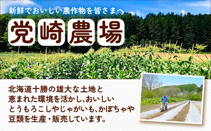 北海道産 じゃがいも＆かぼちゃ 計10kg（じゃがいも6-7kg・かぼちゃ3-4kg）《足寄町》【党崎農場】ジャガイモ じゃがいも 食べ比べ かぼちゃ 野菜 ポテト 芋 イモ いも ハロウィン あしょろ 北海道[BEAA009]
