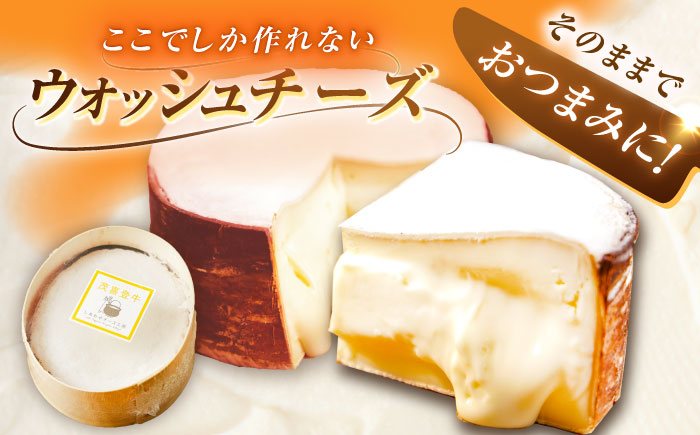 ＼TVで話題／北海道 茂喜登牛 チーズ 約650g（ウォッシュタイプ）《足寄町》【しあわせチーズ工房】チーズ ウォッシュチーズ ウォッシュタイプ 生乳 ミルク 乳製品 おつまみ おすすめ ギフト 650g 北海道産 あしょろ [BEAK016]