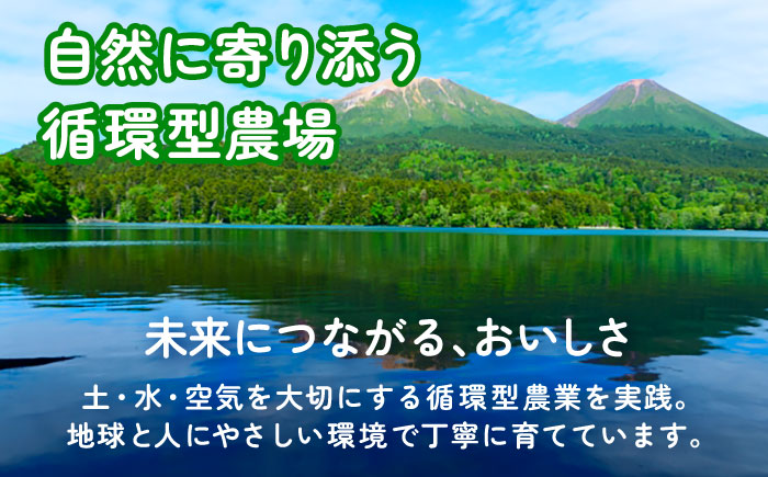北海道 あしょろの小粒黒豆 黒千石 1kg×2袋《足寄町》【党崎農場】　黒大豆 くろまめ くろせんごく 北海道産 [BEAA023]