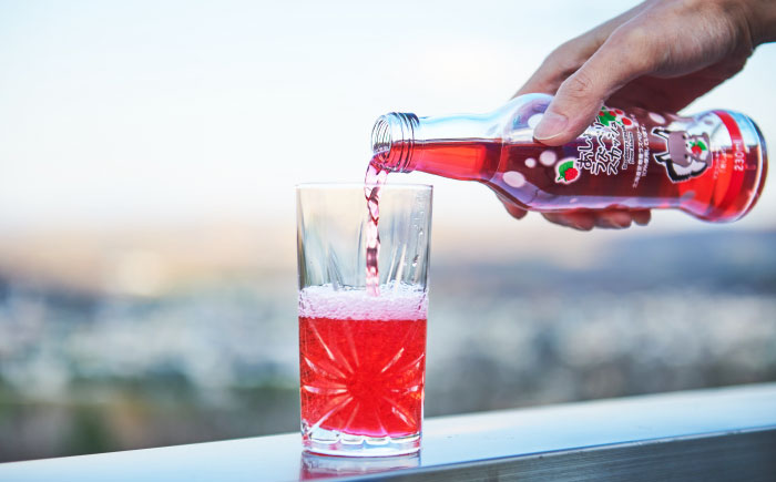 あしょろラズベリースカッシュ 10本《足寄町》【NPO法人あしょろ観光協会】ラズベリー 炭酸飲料 炭酸 炭酸入り 爽やか 230ml オリジナル 地元 足寄町産 北海道産 道産 北海道 [BEAE016]