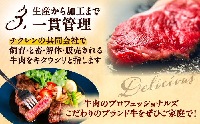 北海道産牛 サーロインステーキ 200g×4パック 《足寄町》 【北海道チクレンミート】 肉 牛肉 牛 北海道産牛 サーロイン ステーキ 北海道産牛肉 ブランド牛 ブランド 栄養豊富 健康 お取り寄せ ギフト 足寄町 北海道産 北海道産 [BEBJ002]