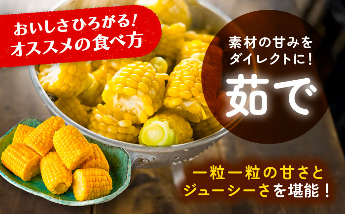 【先行予約】北海道 朝もぎ とうもろこし 10本（恵味ゴールド）【8月上旬以降発送】《足寄町》【党崎農場】トウモロコシ とうもろこし 甘い 野菜 採れたて野菜 新鮮 農家 おすすめ 北海道土産 ゴールド gold レンチン 北海道産 あしょろ 北海道 [BEAA003]