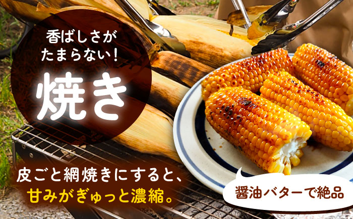 【先行予約】北海道 朝もぎ とうもろこし 10本（恵味ゴールド）【8月上旬以降発送】《足寄町》【党崎農場】トウモロコシ とうもろこし 甘い 野菜 採れたて野菜 新鮮 農家 おすすめ 北海道土産 ゴールド gold レンチン 北海道産 あしょろ 北海道 [BEAA003]