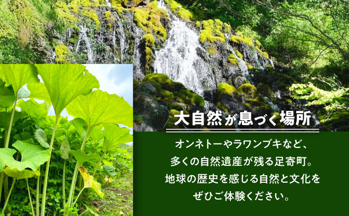 ラワンぶき漬物 4種セット（醤油・味噌・梅・キムチ）各100g《足寄町》【NPO法人あしょろ観光協会】漬物 ラワンぶき 醤油 味噌 梅 キムチ 食物繊維 ミネラル 健康 足寄町産 北海道産 道産 あしょろ 北海道 [BEAE007]