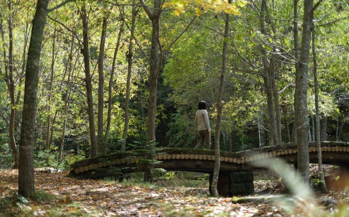 【ペア】北海道十勝 オンネトー 湯の滝 ネイチャートレッキング バーベキュー ツアー 《足寄町》 【Slow Travel HOKKAIDO】 北海道旅行 旅行 夏休み 体験 アクティビティ ハイキング アウトドア 散歩 自然 植物 BBQ 滝 [BEAY010]