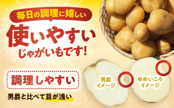 北海道産 じゃがいも ゆめいころ 10kg 《足寄町》【北海道エア・ウォーター・アグリ株式会社】 [BEBO001] ジャガイモ じゃがいも 国産 野菜 ポテト 芋 イモ いも 肉じゃが カレー 煮物 ポテトサラダ シチュー ユメイコロ ゆめこいろ 北海道産 道産 足寄町 北海道