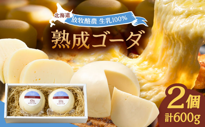 北海道 ゴーダチーズ 300g×2個[足寄町][合同会社あしょろチーズ工房] 北海道産 十勝チーズ セミハードチーズ ゴーダ 乳製品 生乳 加工品 おつまみ もちもち 冷蔵 十勝 あしょろ [BEAU001]