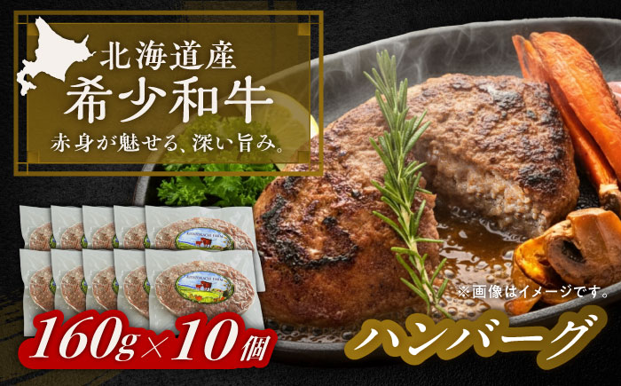 北海道 北十勝 短角牛 ハンバーグ 160g×10《足寄町》【北十勝ファーム有限会社】 [BEAI090]