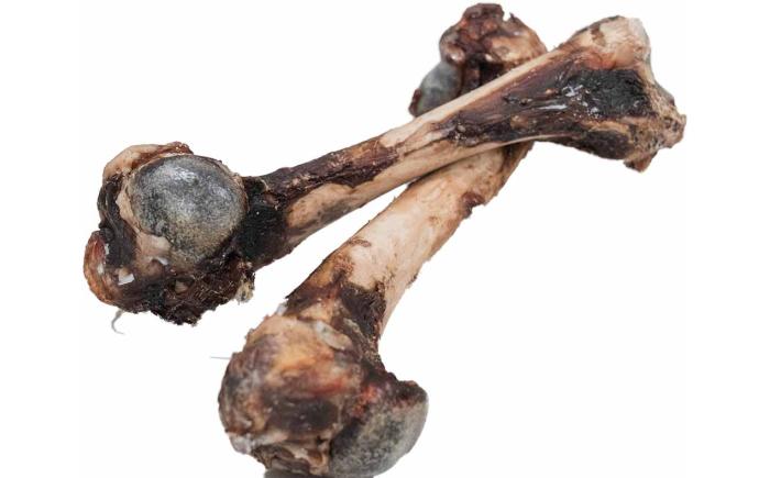 北海道 ペットのおやつ エゾシカ（骨）9種《足寄町》【K&D株式会社】北海道産 エゾ鹿 鹿 シカ肉 鹿肉 ドライ ジャーキー ホネ 骨 口内ケア ペットフード ペット用 餌 エサ ドックフード 犬のおやつ 十勝 あしょろ [BEBC002]