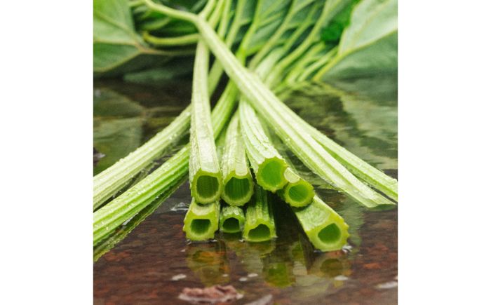 【SHIRO】ラワンぶき化粧水 《足寄町》 センシティブ [BEAX002]