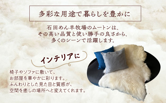 希少 仔羊 ムートン 約90〜100cm《足寄町》【石田めん羊牧場】ムートン 羊 羊毛 天然素材 高級 インテリア マット ベビー用 赤ちゃん ペット用 ペット 介護用 あしょろ 北海道 [BEAD003]