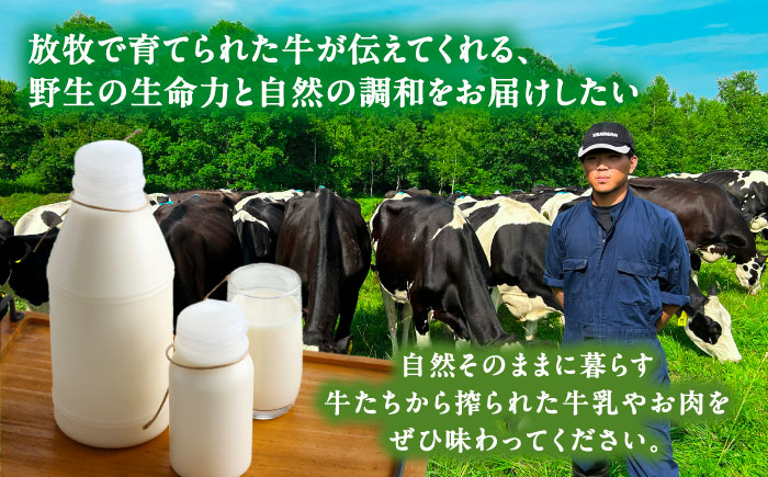 ＼TVで話題／北海道 放牧牛乳 800ml×4本《足寄町》【ありがとう牧場】牛乳 生乳 ミルク 濃厚 まろやか 農薬不使用 800ml 足寄町産 北海道産 道産 あしょろ [BEAH003]