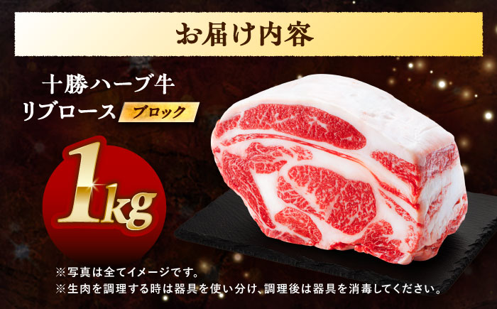 北海道 十勝 ハーブ牛 リブロース ブロック 約 1kg 《足寄町》【株式会社ノベルズ食品】 [BEAQ063]