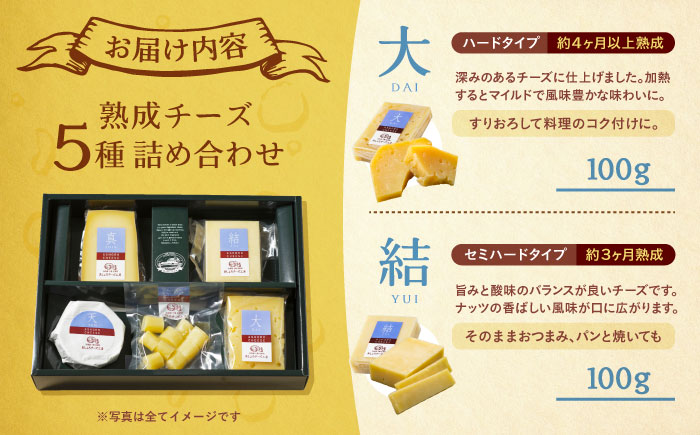 北海道 熟成チーズ 5種詰め合わせ《足寄町》【合同会社あしょろチーズ工房】 北海道産 十勝チーズ 食べくらべ 食べ比べ チーズ ハードタイプ セミハード ラクレット 白カビタイプ 熟成モッツァレラ 冷蔵 十勝 あしょろ [BEAU003]