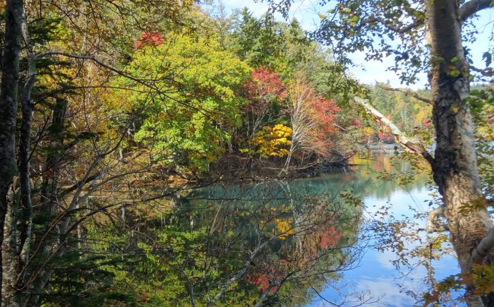 北海道十勝 オンネトー 湯の滝 ネイチャートレッキング バーベキュー ツアー 《足寄町》【株式会社クナウパブリッシング】北海道旅行 旅行 夏休み 体験 アクティビティ ハイキング アウトドア 散歩 自然 植物 BBQ 滝 [BEAY021]