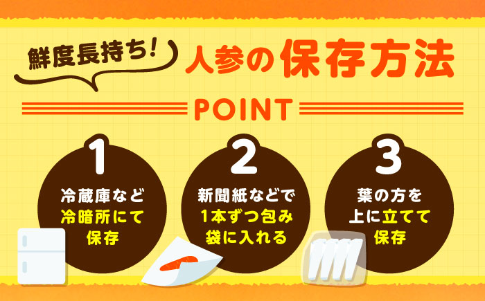 【訳あり】 北海道 にんじん 5kg （土付き）《足寄町》【えとりファーム】 [BEBA005]