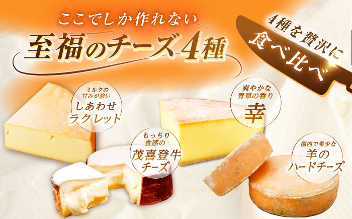 ＼TVで話題／【全4回定期便/3ヵ月毎】北海道 チーズ 4種《足寄町》【しあわせチーズ工房】定期便 チーズ ナチュラルチーズ ハード ラクレット 生乳 ミルク 乳製品 おつまみ ギフト 食べ比べ 北海道産 あしょろ [BEAK022]