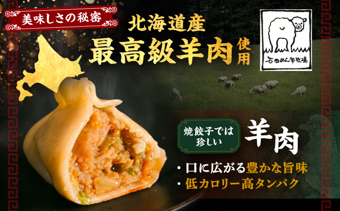 羊の焼き餃子（25個入り×2パック）《足寄町》【石田めん羊牧場】　中華 餃子 ぎょうざ ギョウザ 点心 惣菜 おかず 弁当 羊肉 お肉 手づくり ジューシー 冷凍 簡単調理 名店 味坊 足寄 北海道 北海道産 [BEAD018]