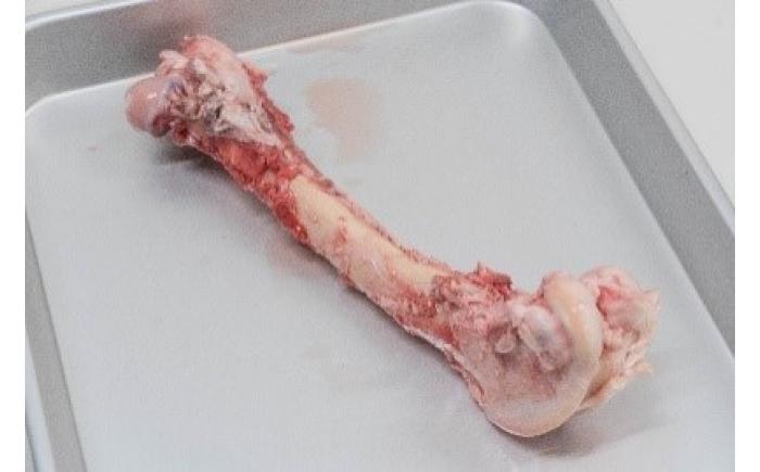 北海道 ペットのご飯 エゾシカ（骨）3種《足寄町》【K&D株式会社】北海道産 エゾ鹿 鹿 シカ肉 鹿肉 ドライ ジャーキー ホネ 骨 口内ケア ペットフード ペット用 餌 エサ ドックフード 犬のおやつ 十勝 あしょろ [BEBC005]