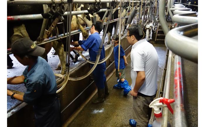 【ペア】 北海道十勝 牧場暮らし・チーズ造り 体験ツアー《足寄町》 【Slow Travel HOKKAIDO】 北海道旅行 体験 チーズ 牧場 見学 ツアー 体験型 旅 旅行 牧場見学 [BEAY002]