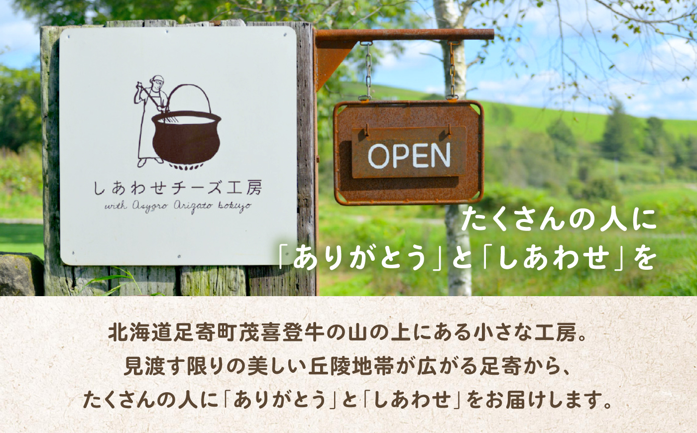 ＼TVで話題／北海道 チーズ 幸 個包装 計500g（個包装4−6個）《足寄町》【しあわせチーズ工房】チーズ ナチュラルチーズ ハード 個包装 生乳 ミルク 乳製品 おつまみ ギフト 500g 北海道産 あしょろ [BEAK014]