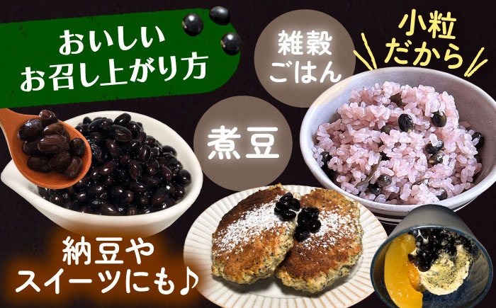 北海道 あしょろの小粒黒豆 黒千石 1kg×2袋《足寄町》【党崎農場】　黒大豆 くろまめ くろせんごく 北海道産 [BEAA023]