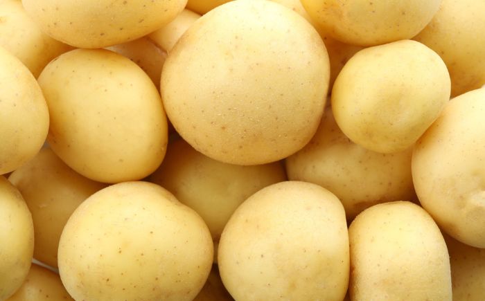 北海道産 じゃがいも ゆめいころ 10kg 《足寄町》【北海道エア・ウォーター・アグリ株式会社】 [BEBO001]