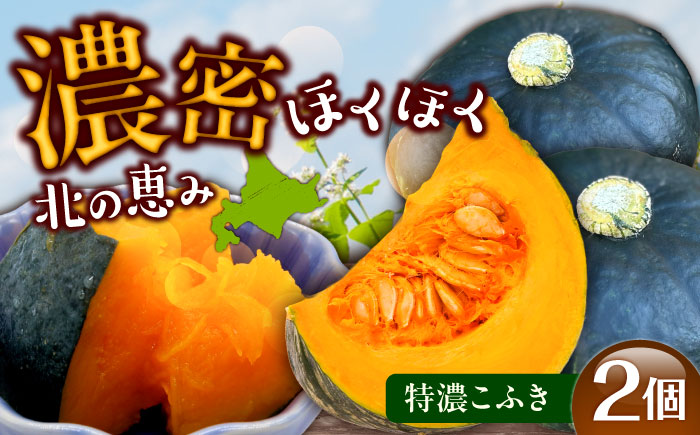 北海道 かぼちゃ 特濃こふき 2個 《足寄町》【足寄アグリバイオ株式会社】 かぼちゃ カボチャ 特濃こふき ハロウィン グラタン スープ 旬 新鮮 北海道産 道産 寒冷地 あしょろ [BEAC011]