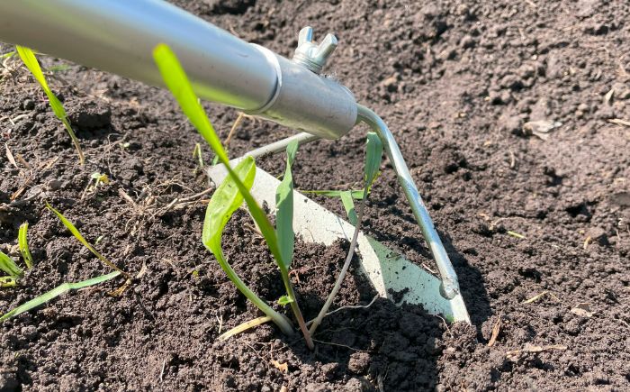 手取り除草機　ホーF21　《足寄町》【株式会社キュウホー】除草具 農具 草取り 草刈り 農業 農作業 のうさぎょう ガーデニング 庭 園芸 掃除 花 草 雑草 [BEBH002]