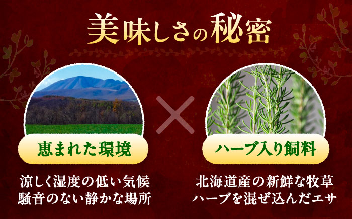 北海道 十勝 ハーブ牛 ヒレステーキ セット 1.5kg  （ミニステーキ300ｇ+コロコロステ ーキ200ｇ）×3 《足寄町》【株式会社ノベルズ食品】 [BEAQ061]
