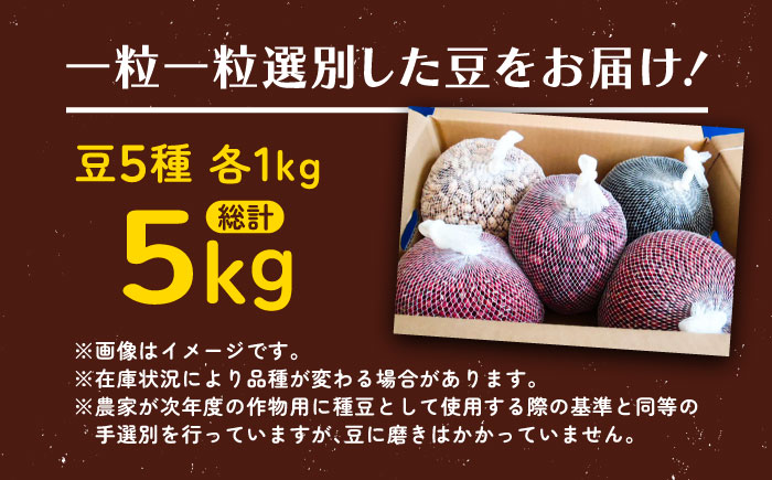 北海道 あしょろの豆 5種 計5kg（各1kg×各1袋）《足寄町》【党崎農場】小豆 大納言小豆 黒大豆 大正金時 中長鶉 大粒 詰め合わせ 赤飯 おしるこ 煮豆 健康 北海道産 道産 寒冷地 [BEAA012]