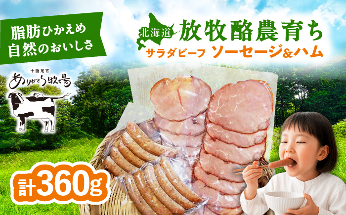 ＼TVで話題/サラダビーフ ソーセージ&ハムセット(ソーセージ100g×2袋・ボンレスハム80g×2袋)[足寄町][ありがとう牧場]ソーセージ ハム 牛肉 ビーフ 肉 ミート 牛 焼肉 牛丼 カレー ギフト 北海道産 あしょろ 北海道 [BEAH007]