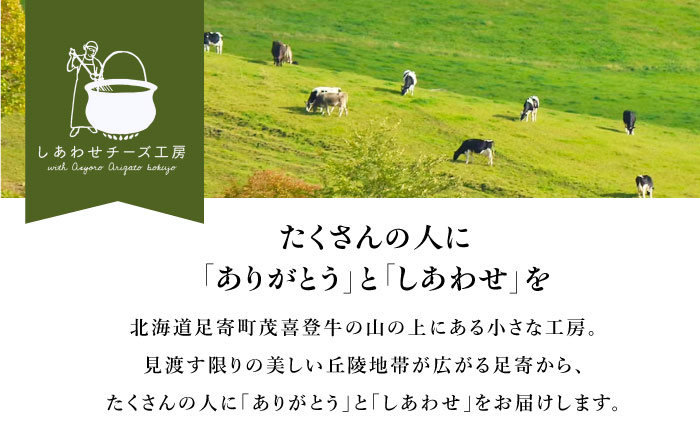 ＼TVで話題／【全4回定期便/3ヵ月毎】北海道 チーズ 4種《足寄町》【しあわせチーズ工房】定期便 チーズ ナチュラルチーズ ハード ラクレット 生乳 ミルク 乳製品 おつまみ ギフト 食べ比べ 北海道産 あしょろ [BEAK022]